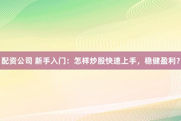 配资公司 新手入门：怎样炒股快速上手，稳健盈利？