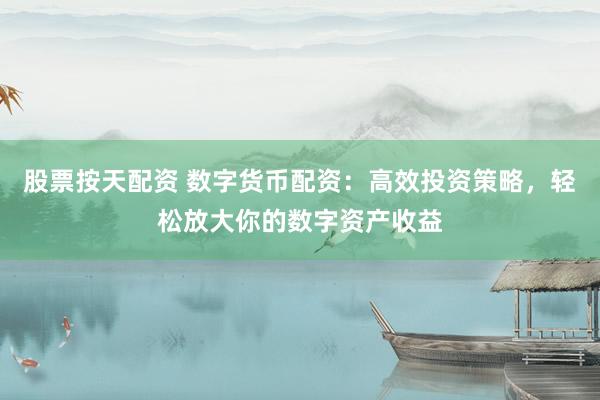 股票按天配资 数字货币配资：高效投资策略，轻松放大你的数字资产收益