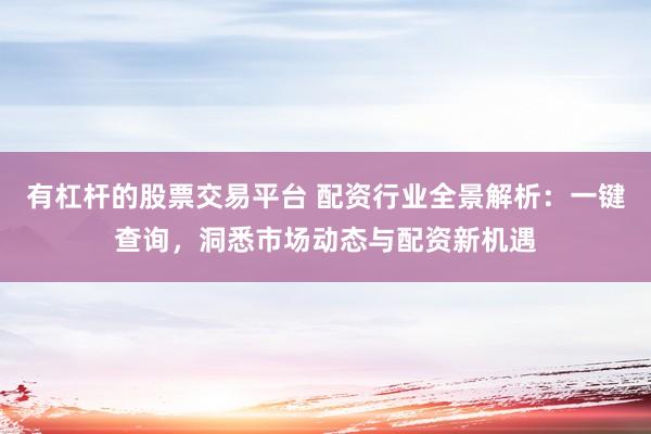 有杠杆的股票交易平台 配资行业全景解析：一键查询，洞悉市场动态与配资新机遇