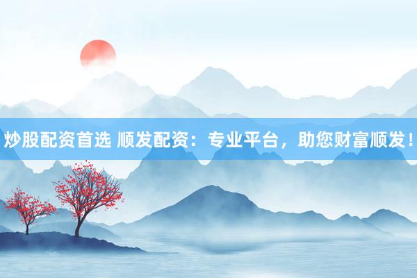 炒股配资首选 顺发配资：专业平台，助您财富顺发！