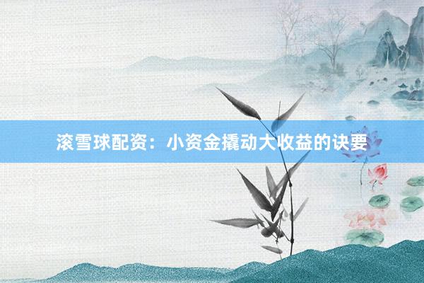 滚雪球配资：小资金撬动大收益的诀要