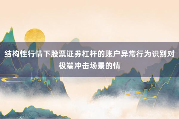 结构性行情下股票证券杠杆的账户异常行为识别对极端冲击场景的情
