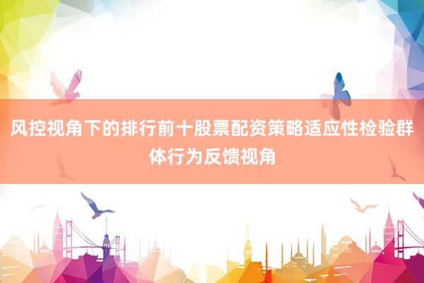 风控视角下的排行前十股票配资策略适应性检验群体行为反馈视角