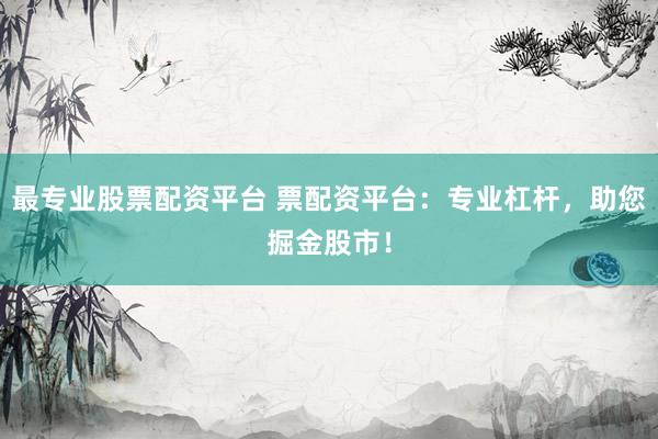 最专业股票配资平台 票配资平台：专业杠杆，助您掘金股市！