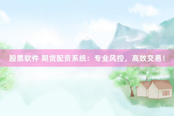 股票软件 期货配资系统：专业风控，高效交易！