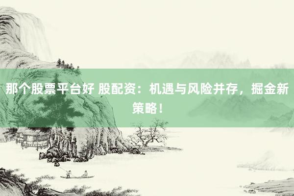 那个股票平台好 股配资:机遇与风险并存,掘金新策略!